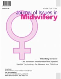 Image of Journal of Issues in Midwifery